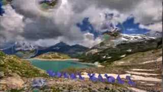 Boral Kibil       End of life  HD