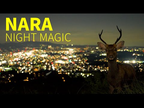 NARA NIGHT MAGIC | Official Tourism Film（30s）