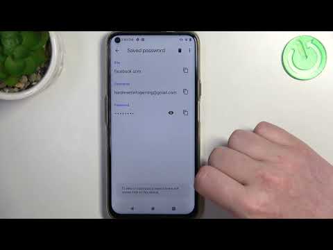 How to Manage Google Passwords on HAFURY GT20 - Autofill with Google