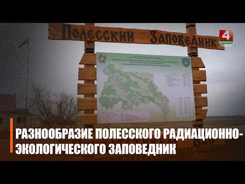 Из-за «закрытости» Полесского радиационно-экологического заповедника произошло множество открытий