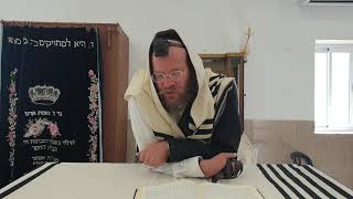 הלכה יומית | דיני ערב ראש השנה | הרב צבי חלמיש שליט"א
