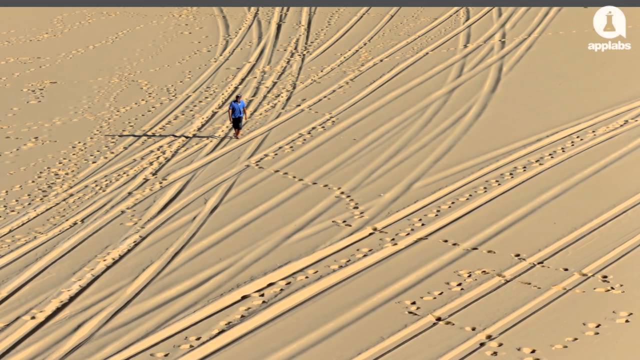 How Data Visualization Can Help the Environment