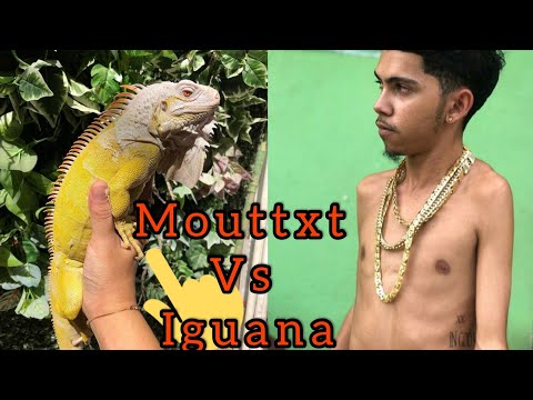 Trinidad Mouttxt Vs Iguana 🦎 || Trinibad Dancehall ||  Beer Showdown
