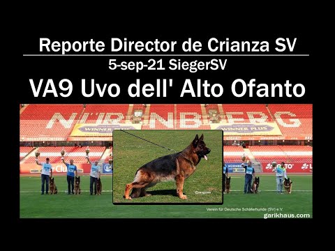 BSZS 2021 reporte VA9 Uvo dell' Alto Ofanto