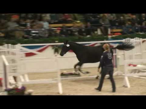 ♥ Coldplay- jumping horse  by Cormint