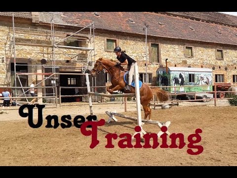 Unser AKTUELLES Springtraining || Training