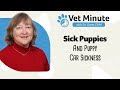 Vet Minute Sick Puppy And Motion Sickness
