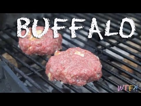 What Is Buffalo Meat? / Buffalo Burgers with...
