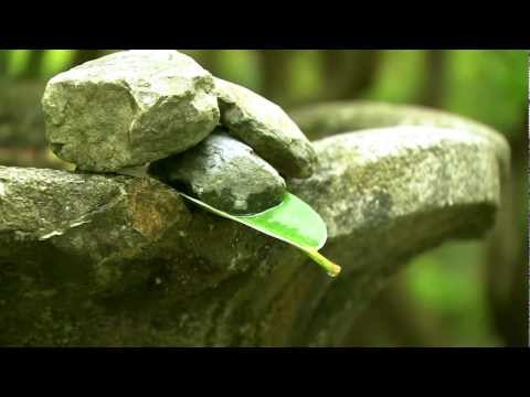 Sầu Chopin Sheet - Lệ Thu