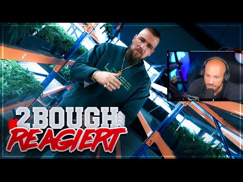 KOLLEGAH - IMMERNOCH / 2Bough REAGIERT