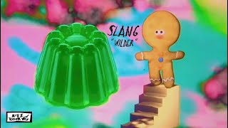 Slang – “Wilder”