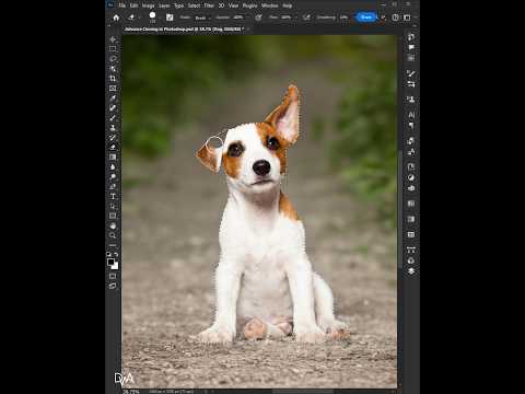 How to Use Clone Stamp Tool - Photoshop Tutorial
