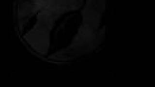 AFI  - This Celluloid Dream (AFI DEMO Recording)