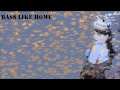 Lily Allen - Bass Like Home (lyrics) 