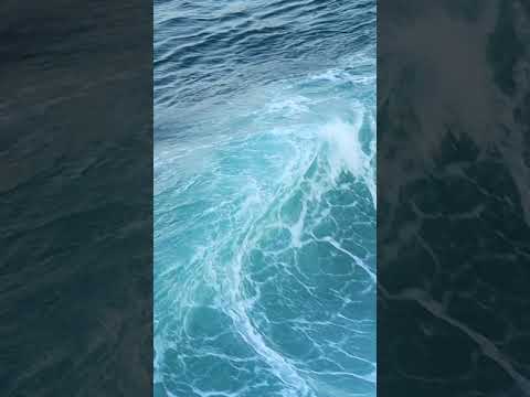 Daimon Barber Hydro Surge Sheet Mask   Sneak Peek