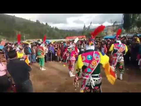 Negrillos de Talavera de la Reyna  25 enero 2017