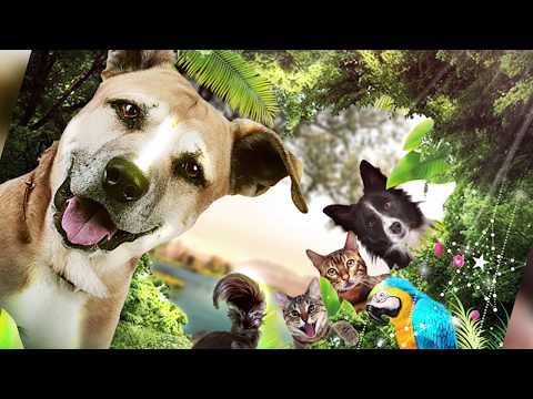 SPEED ART How to Professional Movie Poster | Movie Poster Design in Photoshop