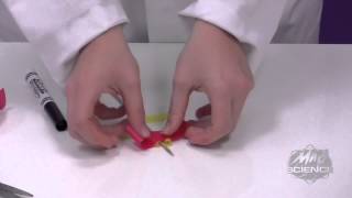 Mad Science Spinning Sprayer!