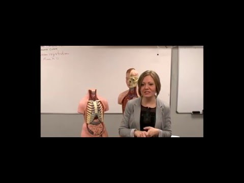 CCCN Webinar Series - Physical Health Assessment