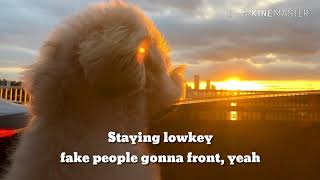 Download lagu Edgar Sandoval Jr x bloom x bridge - Hollow [by Lyric] mp3