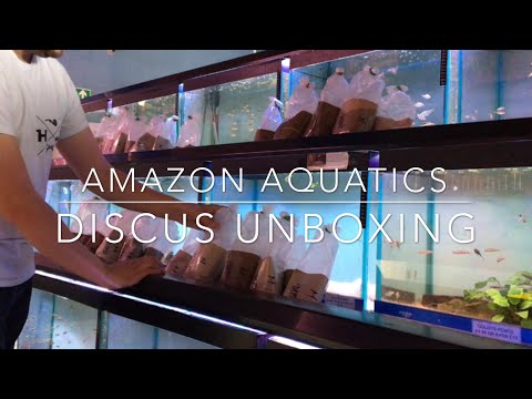 Amazon Aquatics|| Discus Unboxing