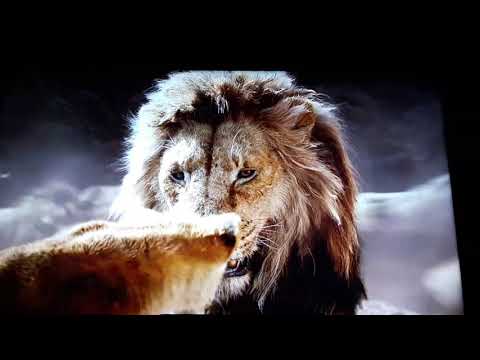Der König der Löwen - Mufasas Tod