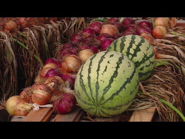 Садовод-визажист