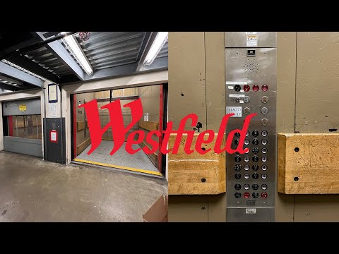 AMAZING High-Speed Montgomery A-Series Traction Freight Elevators!