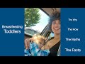 Toddler Breastfeeding