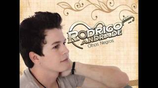 Errei em te Amar - Rodrigo Andrade