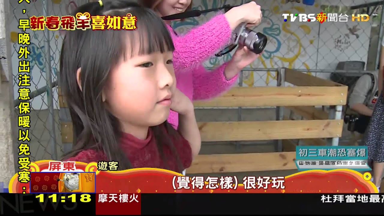台版「奈良公園」　梅花鹿追著人跑不怕生