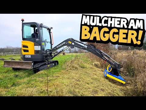 Mulching a ditch with excavator Henry