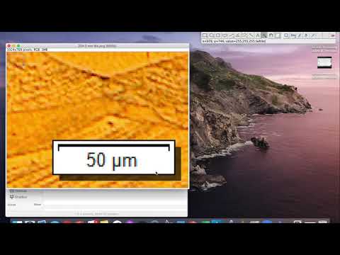 MSE408 F20 Brass Lab - Grain Counting