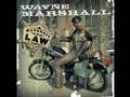 Wayne Marshall - hot in the club