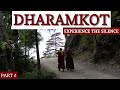 EXPERIENCE THE SILENCE OF NATURE | FREE MEDITATION FOR ALL |  TUSHITA MEDITATION CENTRE | DHARAMKOT