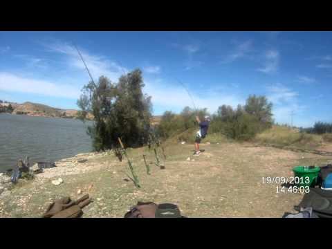 Catfish fishing on the River Ebro, Spain 123 lb Russel