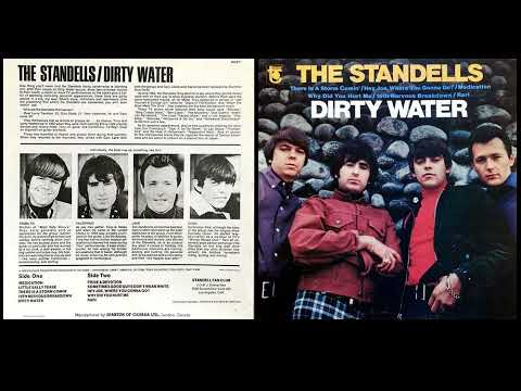 THE STANDELLS Medication (1966)