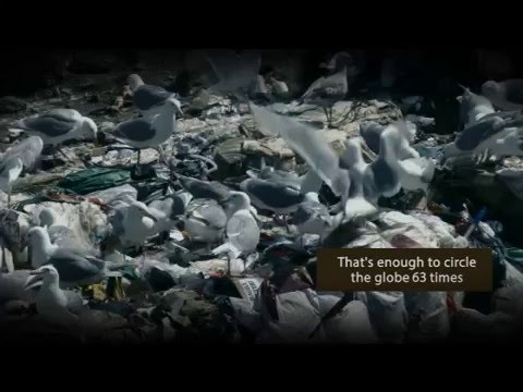 GXT Green ECOgrade Photodegadable bags