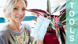 My Favorite Tools For Indoor Plants - Green Moments With Juliette Ep #06