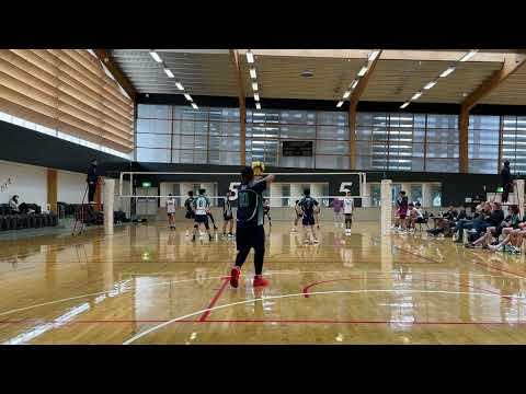 SVL D2: SNV vs Acers