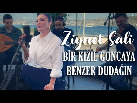 Ziynet Sali - Bir Kızıl Goncaya Benzer Dudağın (Akustik)