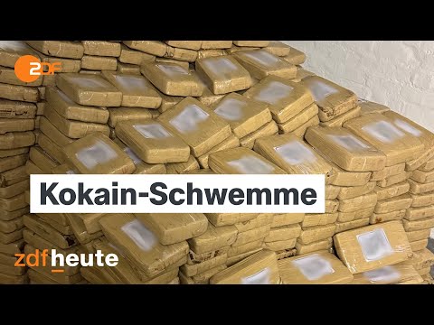 Cocaine at record levels: How the drug reaches Hamburg