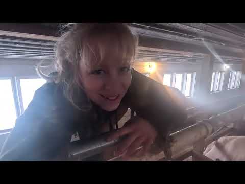 Early morning farm fixes, and dairy farmer chats…