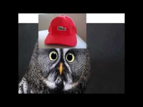 Video thumbnail for Freestyle Jona