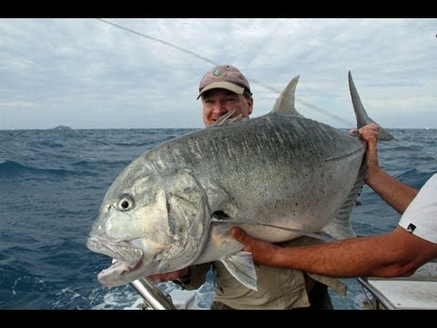Big Giant Trevally on New Tuff Tackle 8000GT Brawn, Crazy Tail Twisted Leaders!!