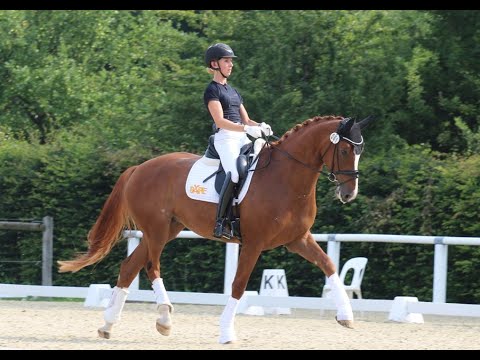 BOA VISTA & Greta Heemsoth - 2. WM-Sichtung 2021