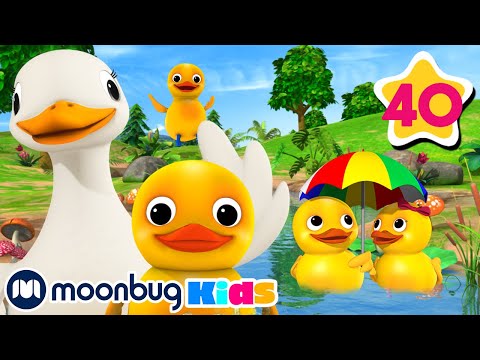 download lagu mp3 mp4 Duck Count, download lagu Duck Count gratis, unduh video klip Duck Count
