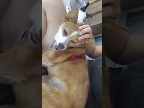 Vídeo de LUNA