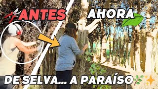 Por fin este RINCÓN vuelve a tener VIDA 🌿 Vlog265