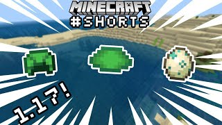 How to Get Turtle Scutes in Minecraft 1 19 shorts Mp4 3GP & Mp3